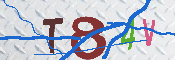 Immagine CAPTCHA