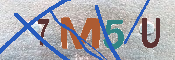 Immagine CAPTCHA