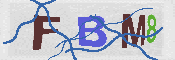 Immagine CAPTCHA