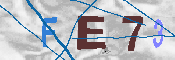 Immagine CAPTCHA