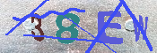 Immagine CAPTCHA