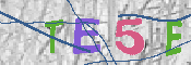 Immagine CAPTCHA