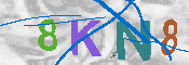 Immagine CAPTCHA