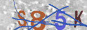 Immagine CAPTCHA