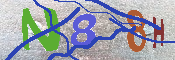 Immagine CAPTCHA