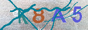 Immagine CAPTCHA