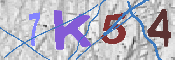Immagine CAPTCHA