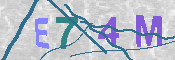 Immagine CAPTCHA