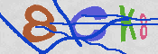 Immagine CAPTCHA