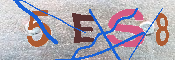 Immagine CAPTCHA