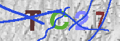 Immagine CAPTCHA