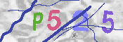 Immagine CAPTCHA