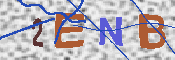 Immagine CAPTCHA