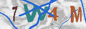 Immagine CAPTCHA