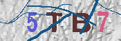 Immagine CAPTCHA