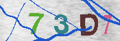 Immagine CAPTCHA