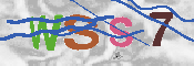 Immagine CAPTCHA